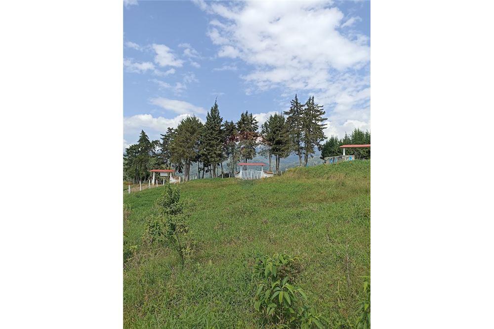 3 Lots for Sale in Silvania - 3 Lotes en Venta en Silvania